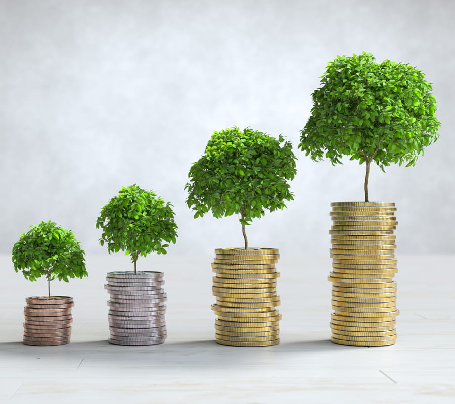 Wealth Structuring Advisory